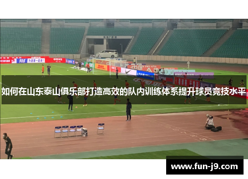 如何在山东泰山俱乐部打造高效的队内训练体系提升球员竞技水平